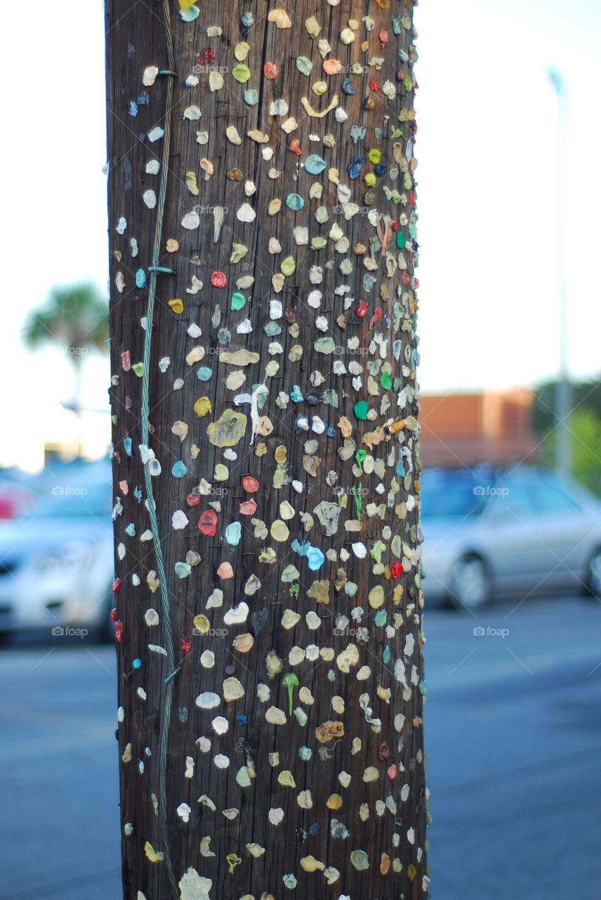 Gum Covered