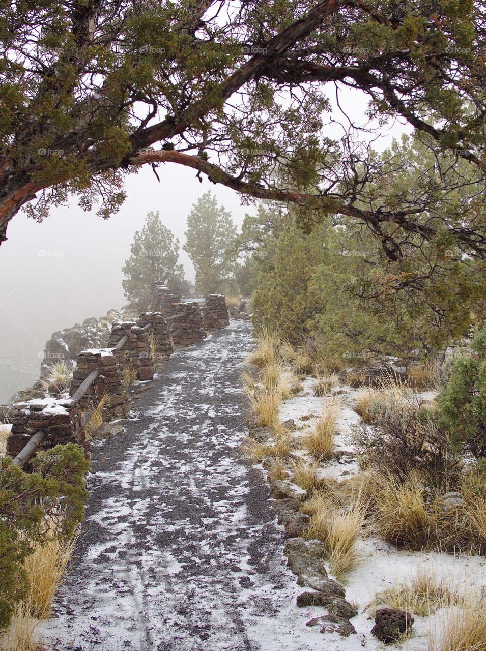 A gravel trail with rock pillars and wood rails along cliff side winds through a juniper forest at Smith Rocks State Park in Central Oregon on a foggy winter morning. 