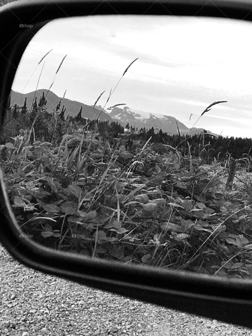 A portrait of a landscape in portrait. The head of the glacier, the white whale Queneesh, is seen sitting amidst her friends the mountains. Her body is obscured by the vegetation & the treeline in the foreground & all is reflected in the car mirror.๐