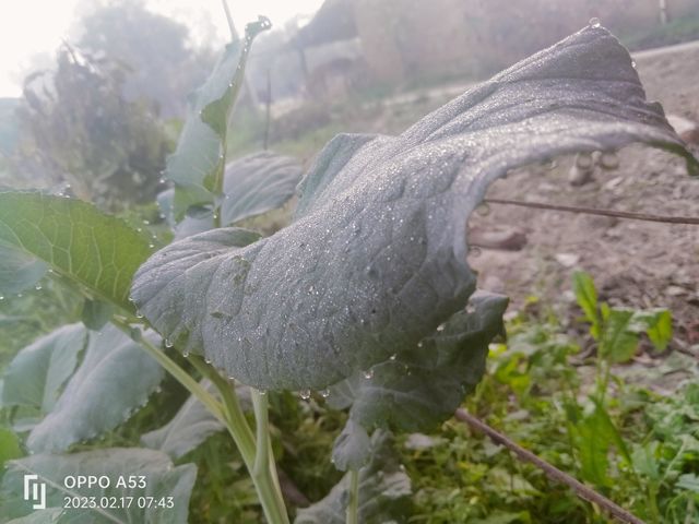 #Feel the nature.