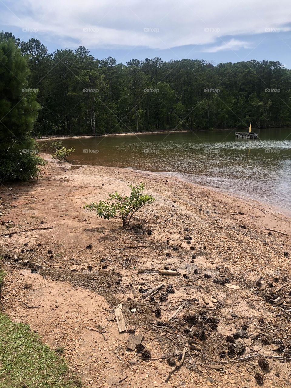 Sandy spot on the lake side.