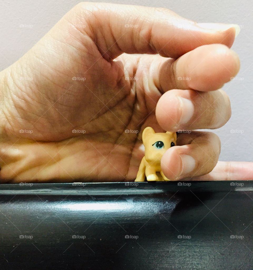 Hidden in the shadow of a snake 