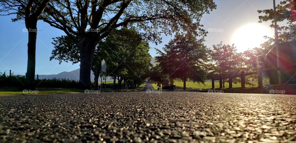 Winery - South Africa