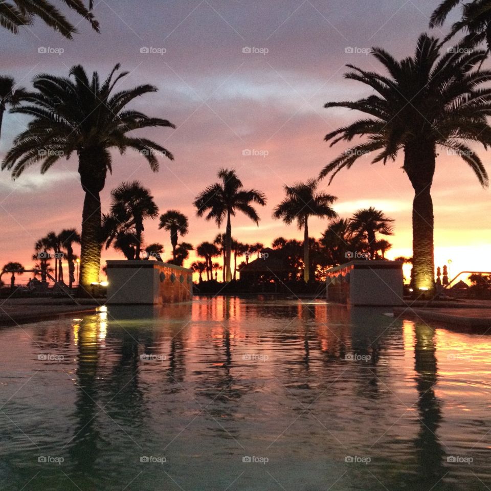 Watery Sunset. Sarasota, FL