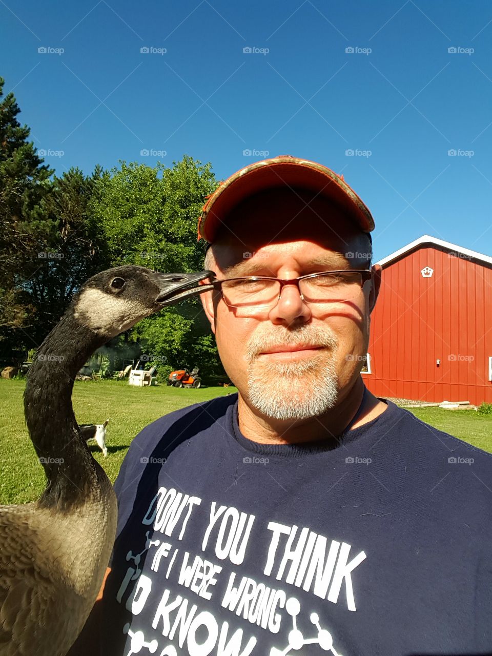 Goose biting the eyeglasses wore by the man