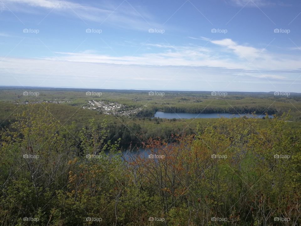 Calm and peaceful nature