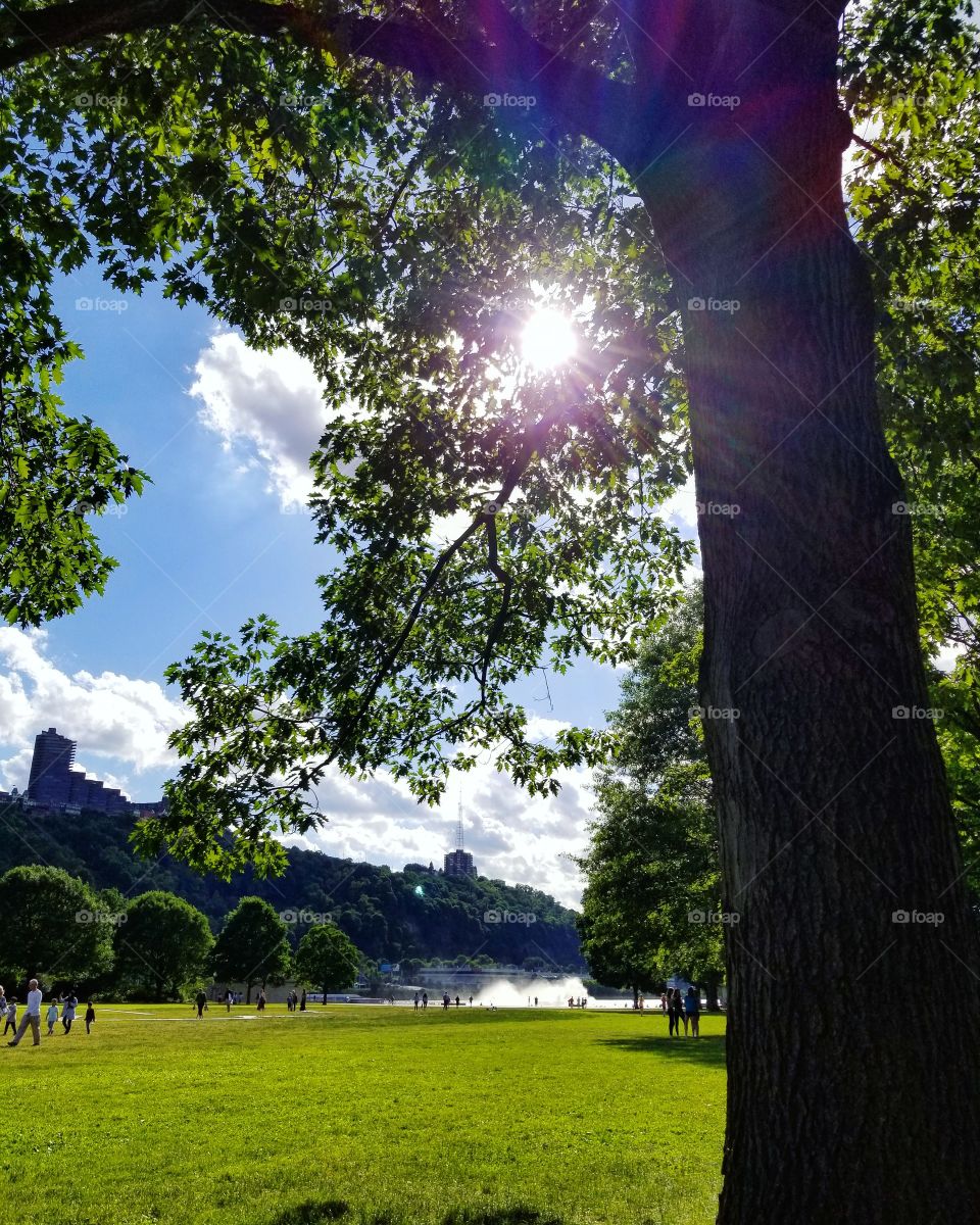 Sunlight peeking through the trees on a beautiful summer day at Point State Park in Pittsburgh