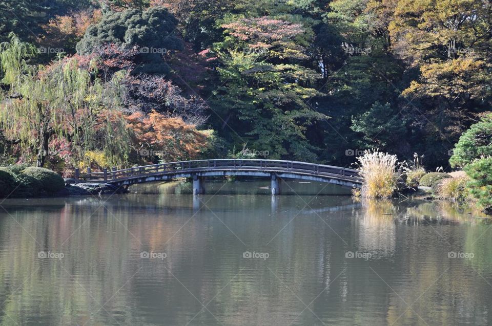 Bridge over calm waters