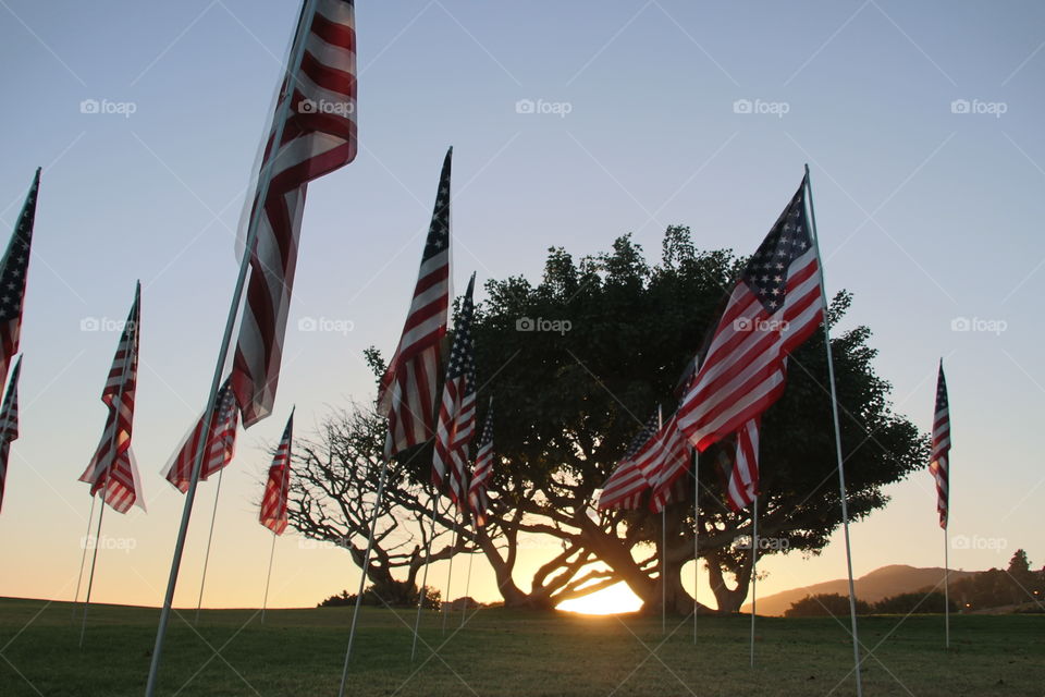 American Flags and a sunset