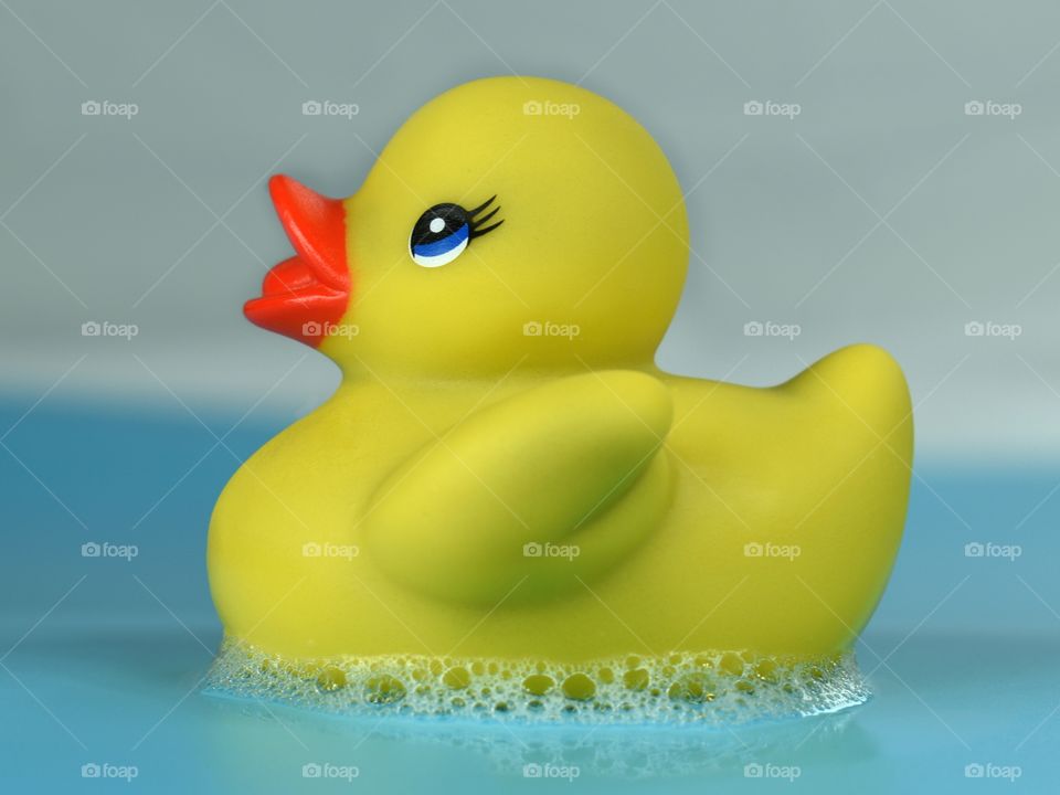 yellow rubber duck on blue and light grey background