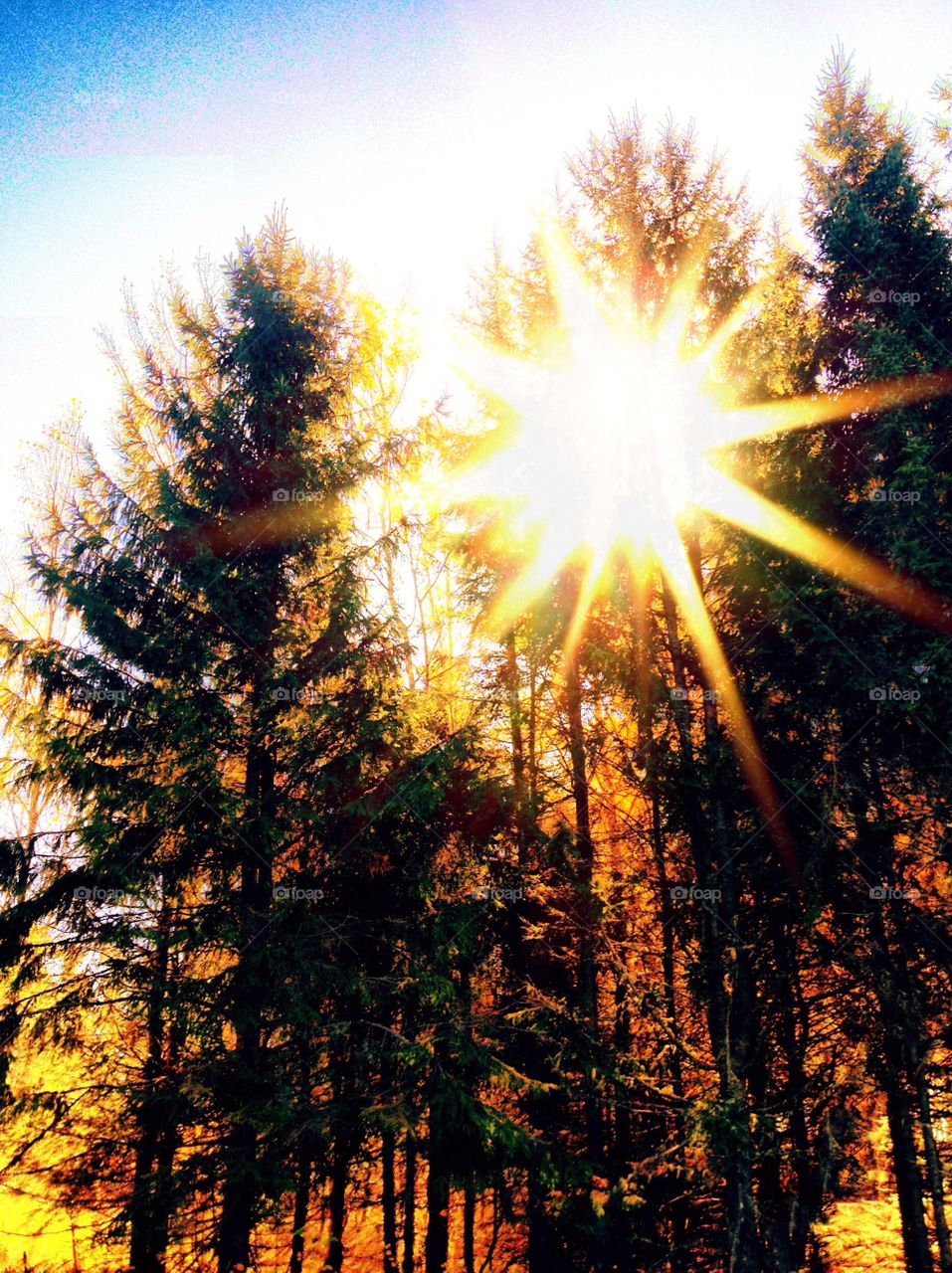 Blinded By The Light