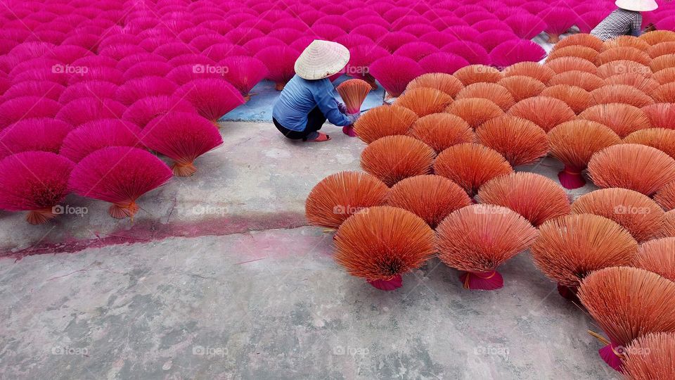 Drying incense stick in Quang Phu Cau Handcrafted traditional village in Ha Noi, Vietnam