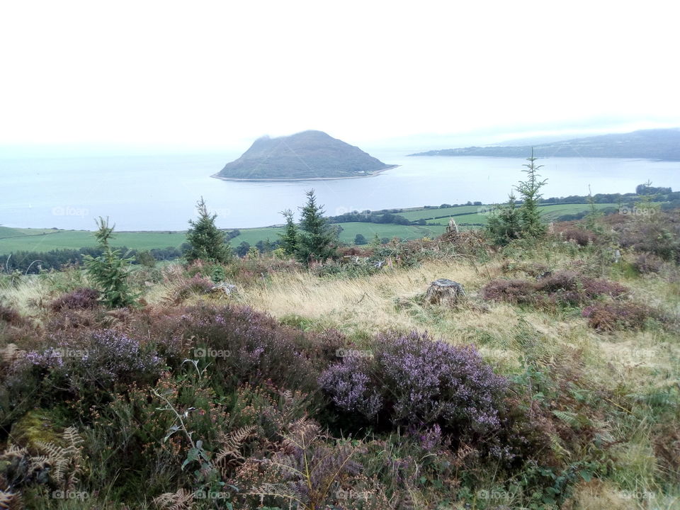 view of Holy island