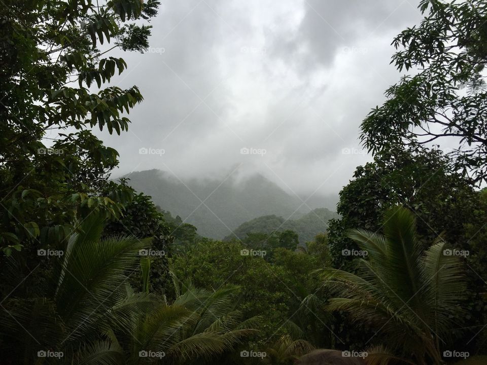 Foggy mountains in Belize