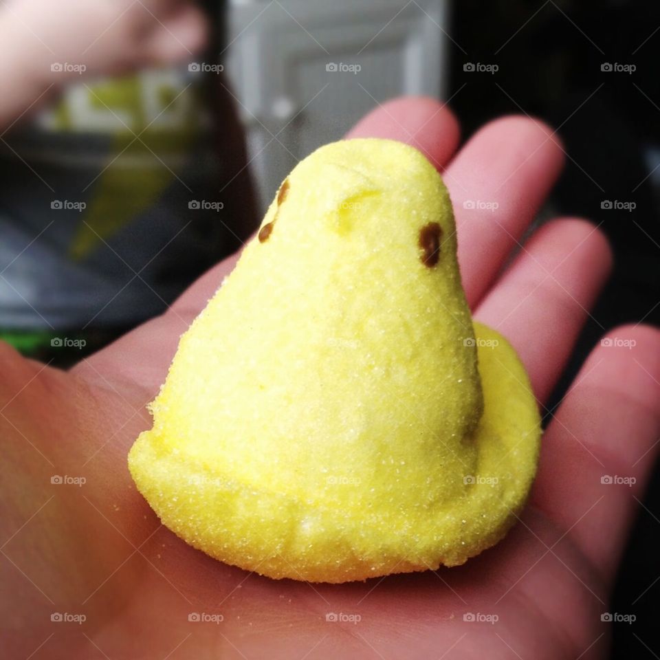 Yellow Marshmallow Chick 