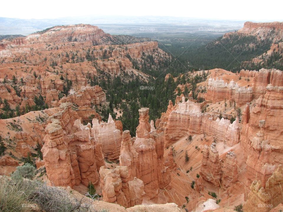 Bryce