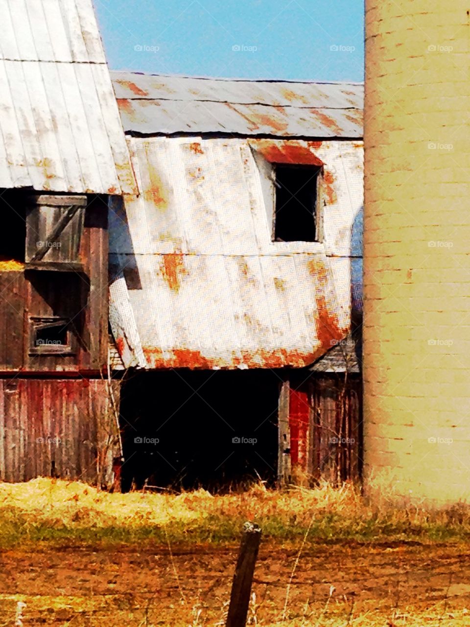 This Old Barn 