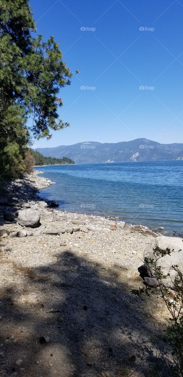 a rocky shoreline beach with view of lake and mountain ridges lines with green trees under a sunny blue sky