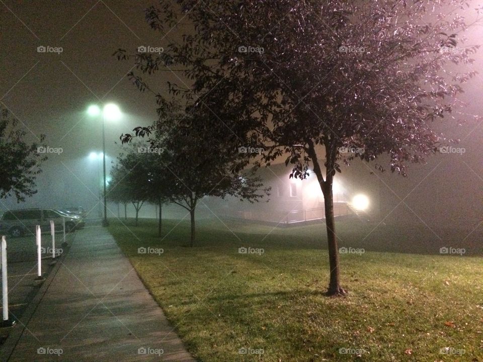 Night fog