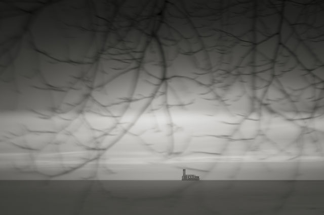 Tree Veil