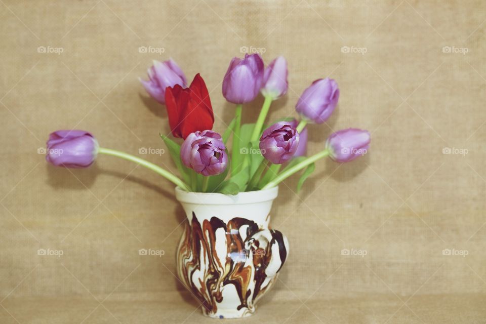 Purple tulips