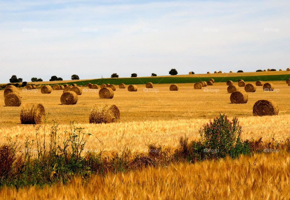 haystacks