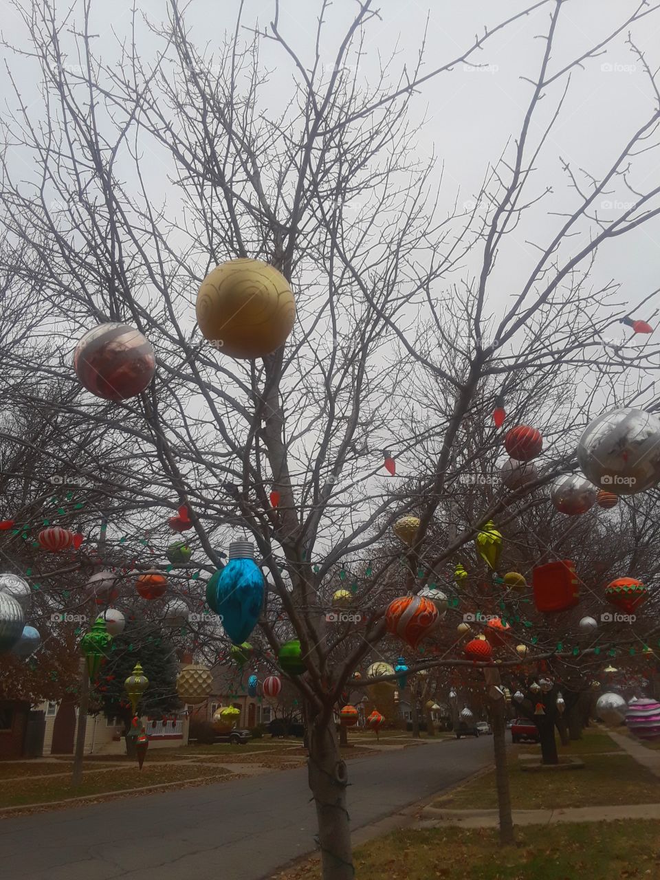 Christmas Balls Hanging From Tree Outdoors