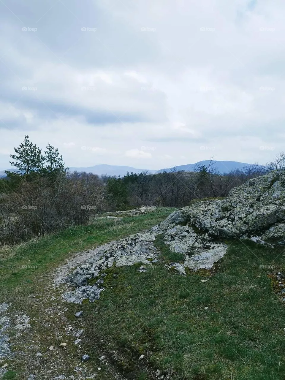 Nature