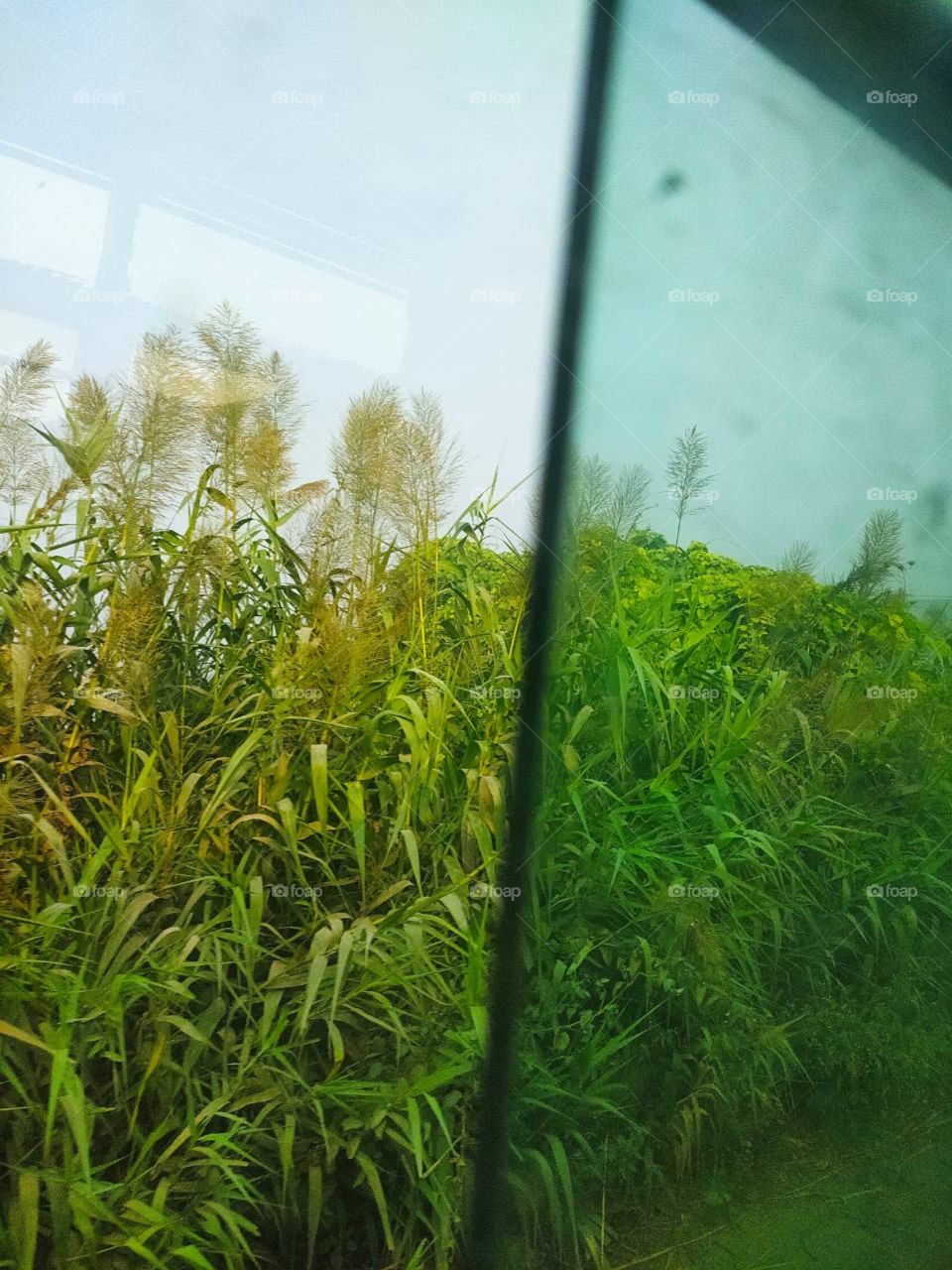 The shadow: half of it