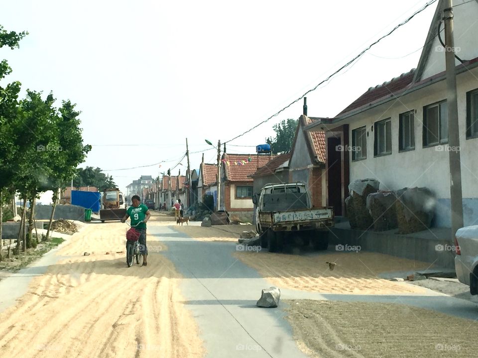 Wheats drying on the street
Life in rural countryside in northern China 