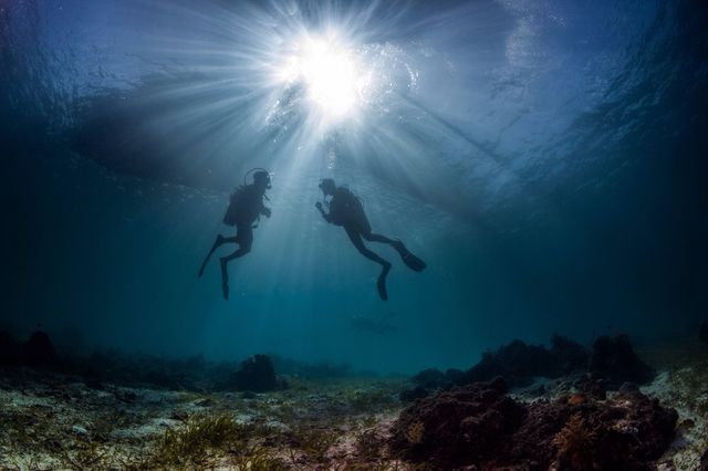 Divers hanging under a boat