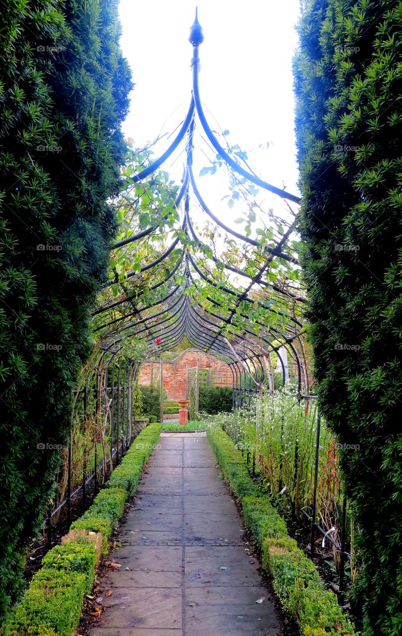 Amazing green tunnel near Luton Great Britain