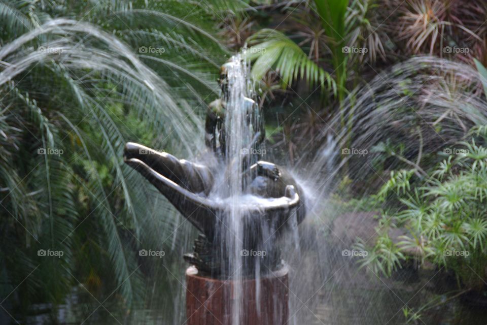 Fountain splash  to statues