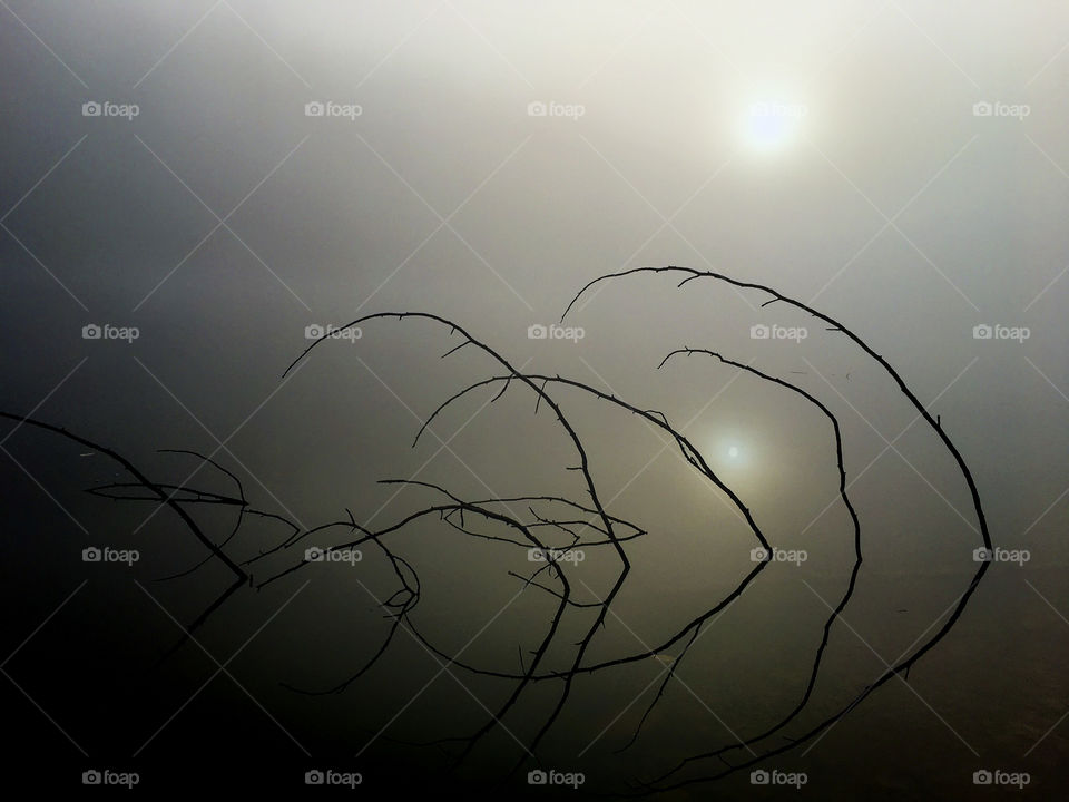 A few twigs protruding from the still water during a foggy sunrise at Tims Ford State Park in Winchester Tennessee. 