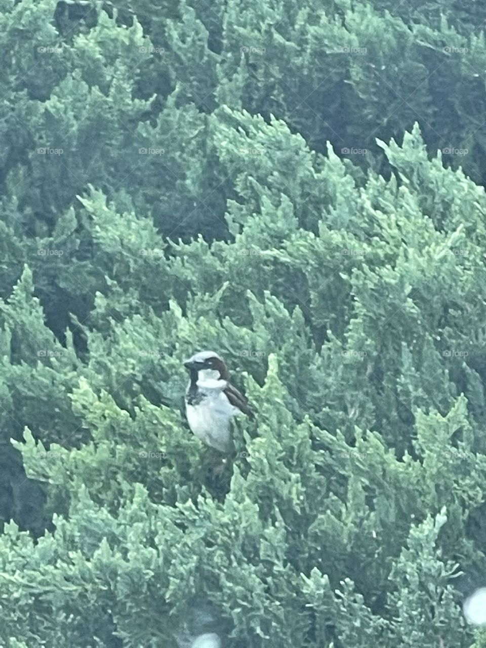 Mingling with nature.