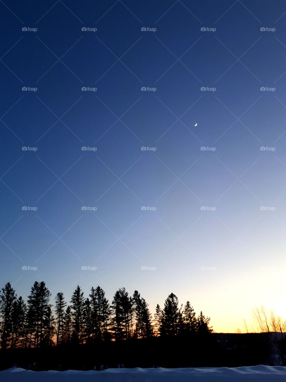 beautiful winter scenery with moon as the sun sets by the trees