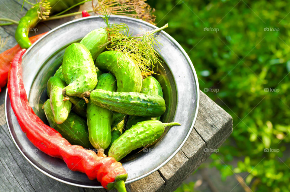 Cucumbers for making pickle