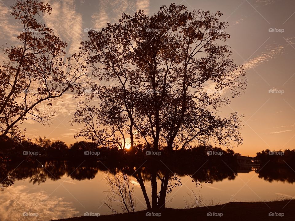 This majestic Lake bed tree is absorbing all of this Sunset glow and filtering with High Clouds adding back drops of Beauty. 