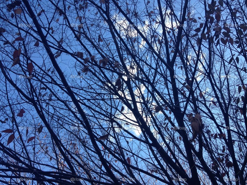 The sky through bars