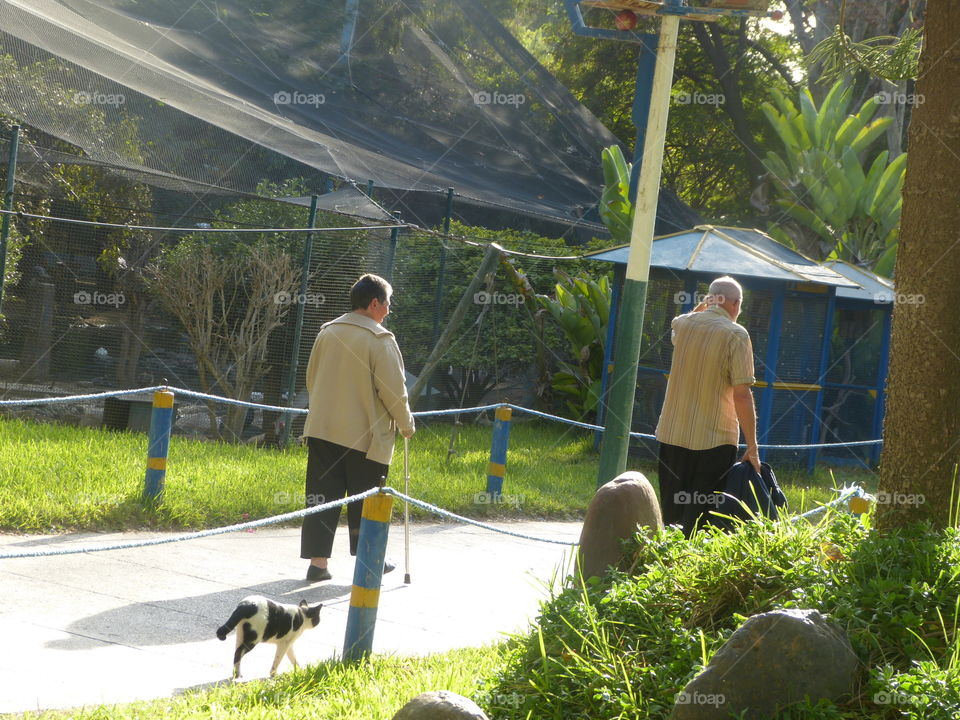 two older couple poursuited by a cat while exploring the birds valley of agadir.