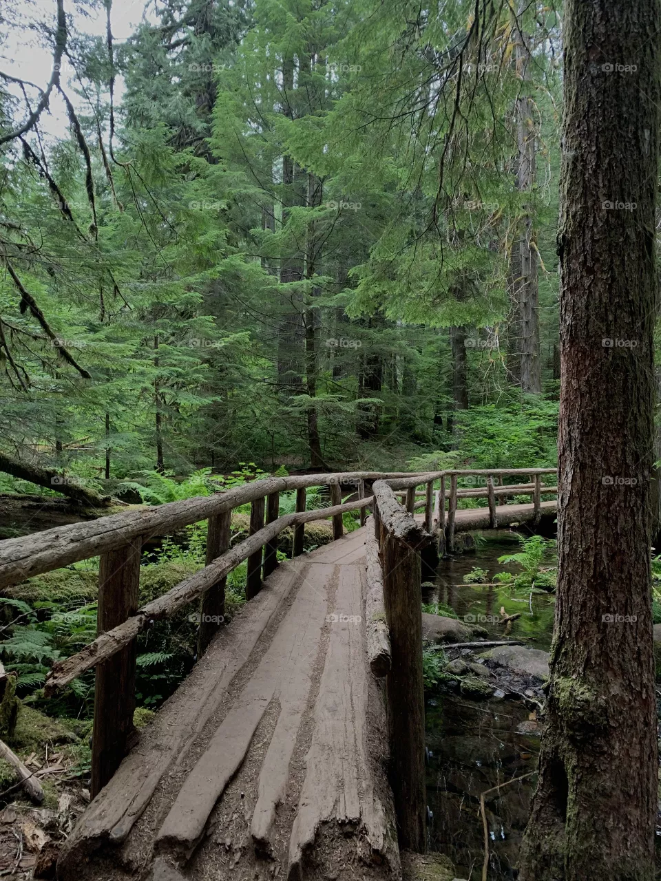 Wooden bridge in Oregon 