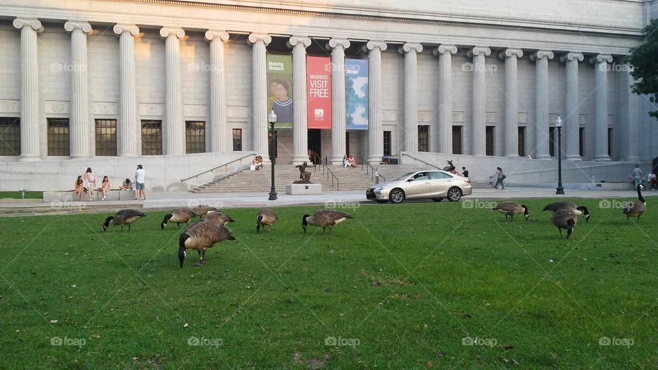 No Person, Architecture, Outdoors, Mammal, Home