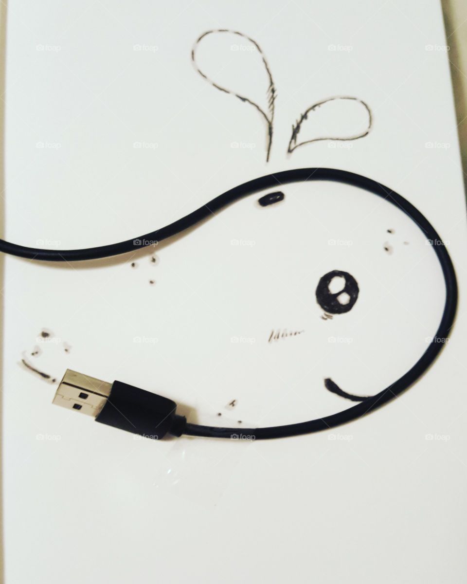 USB and a Whale