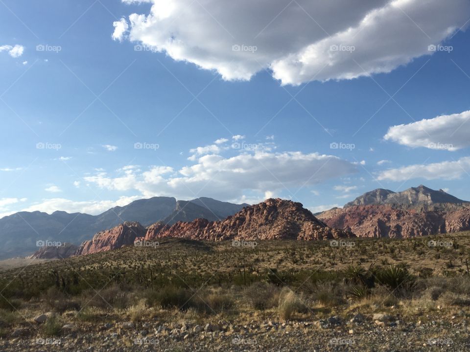 Took this picture while I was moving in the car. Captured an amazing photo in Nevada. Beautiful red rock canyons. A picture worth a thousand words.