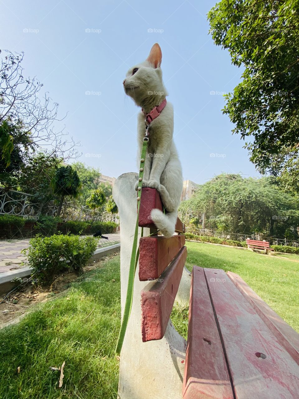 How you like this photo