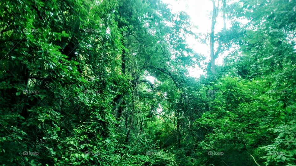 light at the end of the tunnel