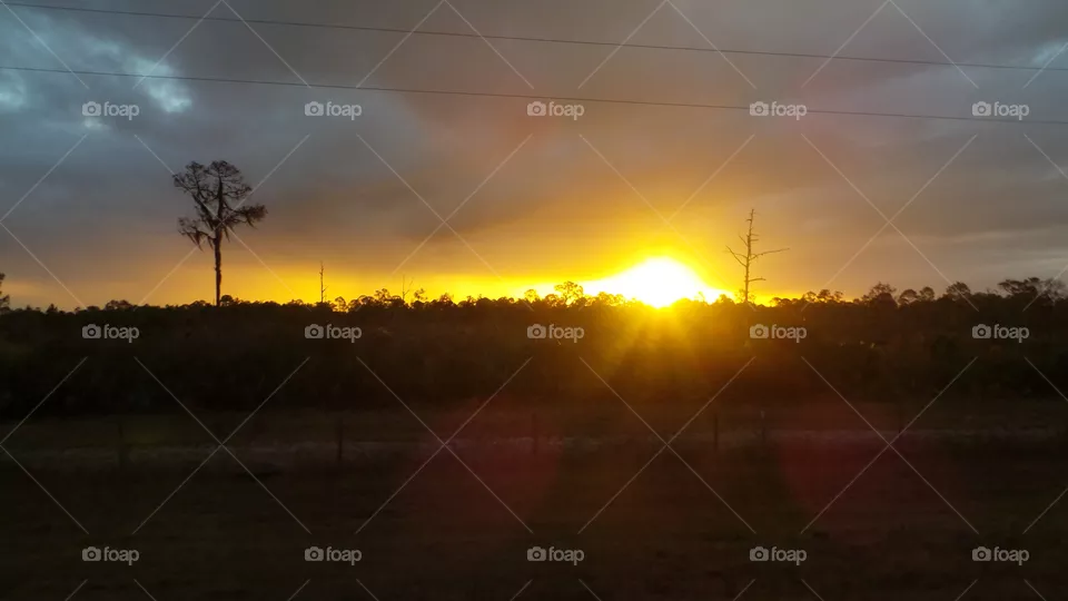 Sun