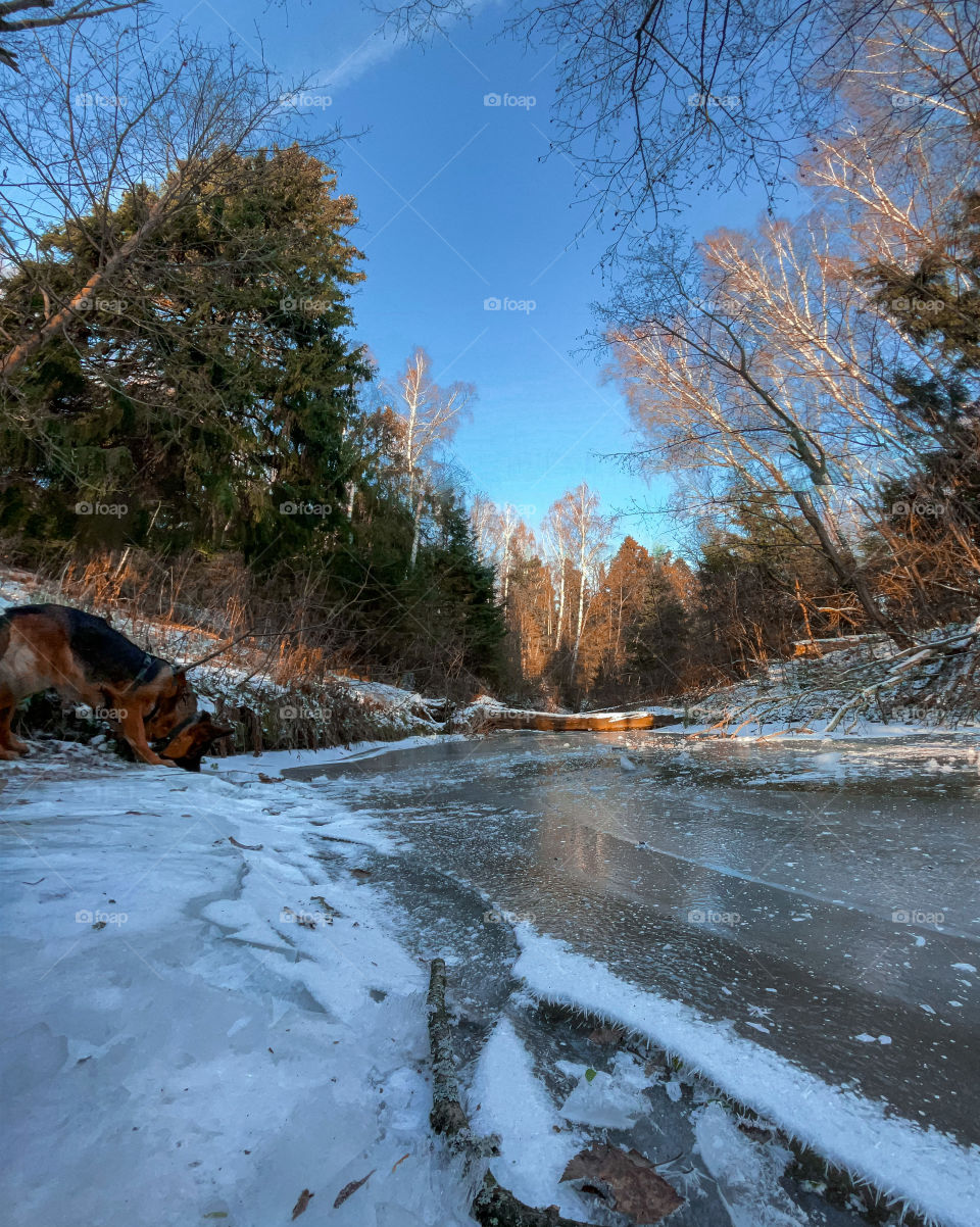 Winter landscape at sunny cold day