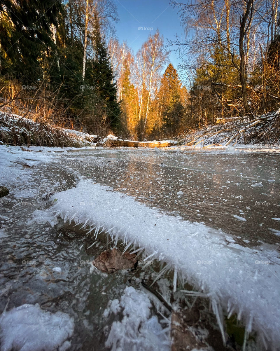 Winter landscape in sunny forest in December 