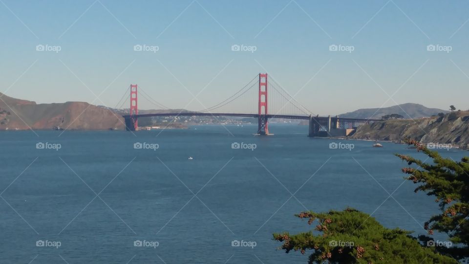 golden gate bridge